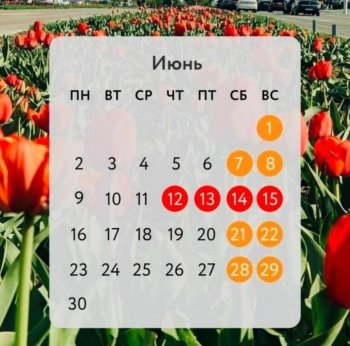График работы детского сада